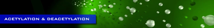 Acetylation & Deacetylation
