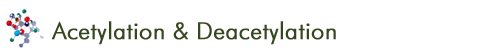 Acetylation & Deacetylation