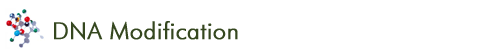 DNA Modification