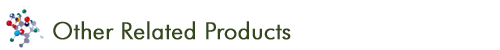 Other Related Products