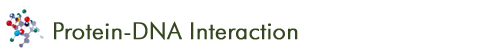 Protein-DNA Interaction