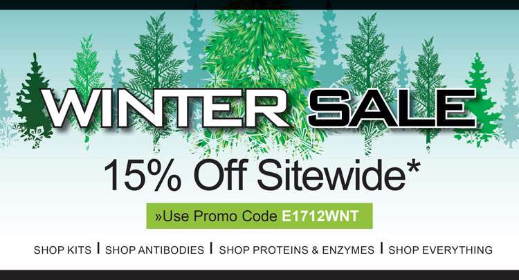 Winter Sale