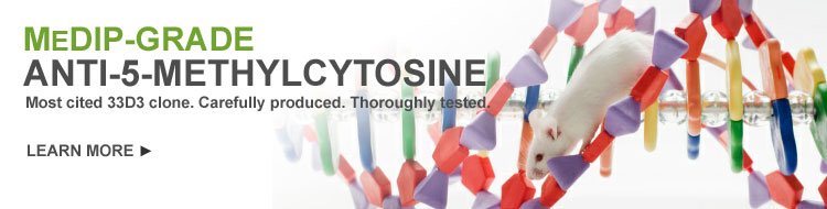 Anti-5-Methylcytosine