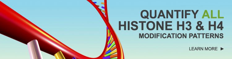 Histone Modification Assays