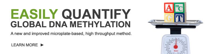Global DNA Methylation Quantification