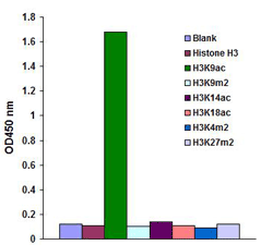 Histone H3K9ac (Acetyl H3K9) Monoclonal Antibody [4E9B11]