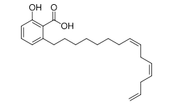 Anacardic Acid