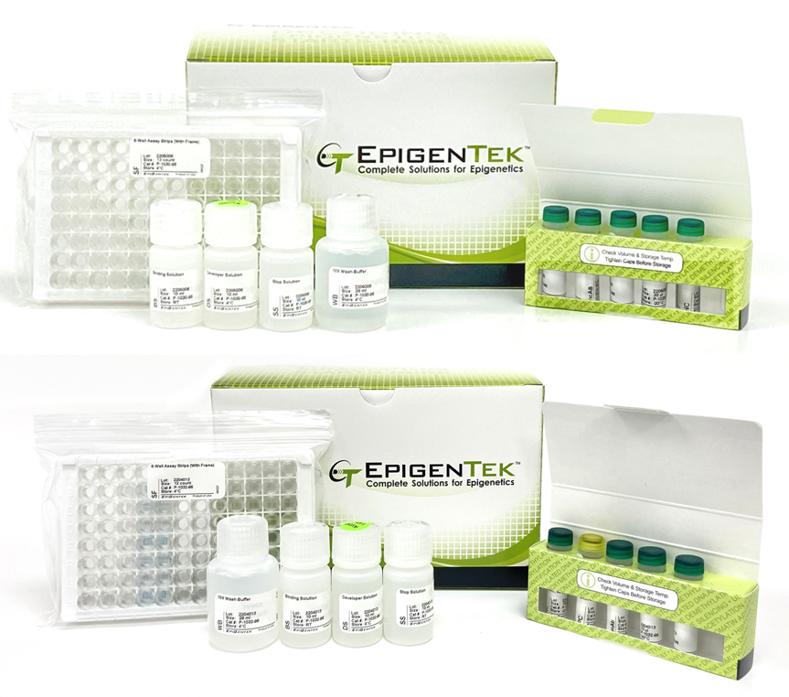 Bundle - Global DNA 5-mC and 5-hmC Analysis