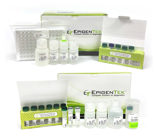 Bundle - Global RNA m6A Methylation Analysis