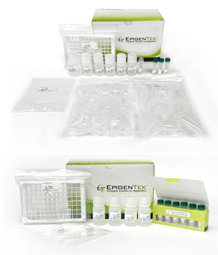 Bundle - 5-mC and 5-hmC DNA Enrichment