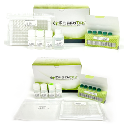 Bundle - Global DNA 5-mC and DNMT Activity Regulation