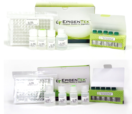 Bundle - Global 5-mC and 5-fC DNA Quantification