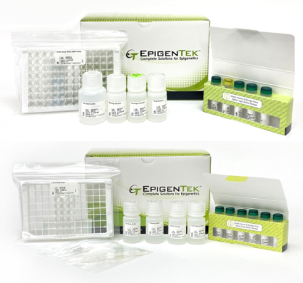 Bundle - Global 5-mC DNA Hydroxymethylation and hMeDIP