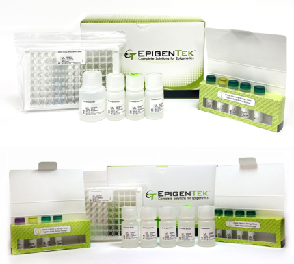 Bundle - Global 5-hmC DNA Quantification and TET Activity Analysis