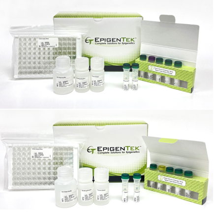 Bundle - Global 5-mC and 5-hmC Quantification (Fluorometric)
