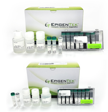 Bundle - DNA-Protein and RNA-Protein Enrichment (24 reactions / 24 reactions)