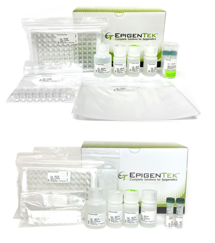 Bundle - Histone H3 and H4 Post-Translational Modification (PTM) Profiling