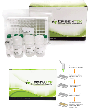 Bundle - H3K4 Methylation Regulation