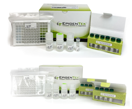 Bundle - H3K9 Methyltransferase and Demethylase Analysis