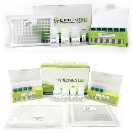 Bundle - H3K27 Methyltransferase and Demethylase Analysis