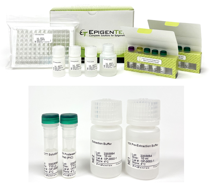 Bundle - m6A Demethylase Activity/Inhibition