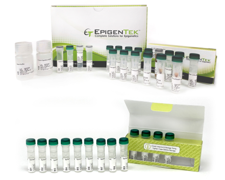 Bundle - m6A RNA Sequencing Multiplexing (24 reactions / 24 barcodes / 288 reactions)