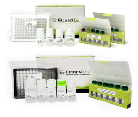 Bundle - m6A RNA Enzymatic Regulation