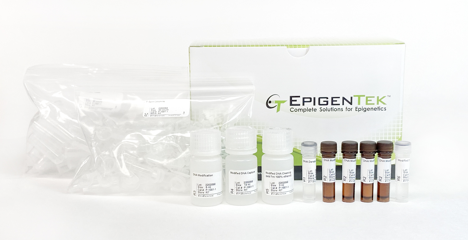 Methylamp DNA Modification Kit