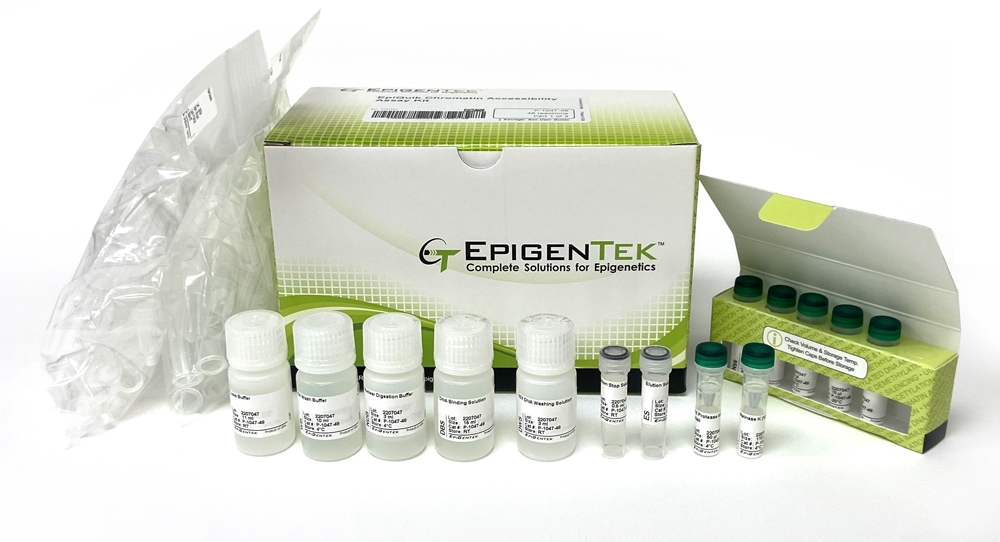 EpiQuik Chromatin Accessibility Assay Kit
