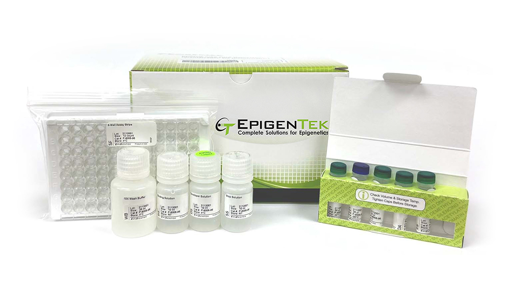 EpiQuik m6A RNA Methylation Quantification Kit (Colorimetric)