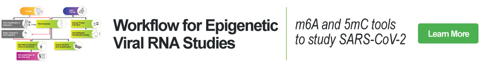 Viral RNA Workflow for Epigenetics