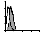 Granzyme B Monoclonal Antibody [B18.1], FITC Conjugated