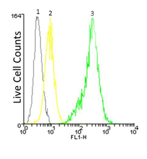 LRRC32 Monoclonal Antibody [PLATO1], FITC Conjugated