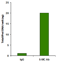 5-Methylcytosine (5-mC) Monoclonal Antibody [33D3]