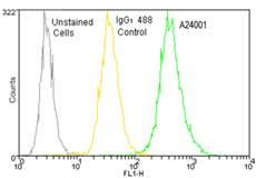 IgG1 Isotype Control Monoclonal Antibody [MOPC21], DyLight 488 Conjugated