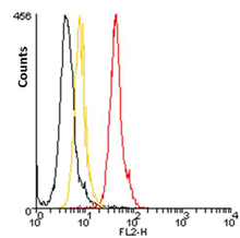 IgG1 Isotype Control Monoclonal Antibody [MOPC21], PE Conjugated