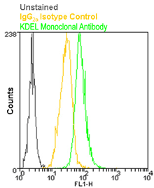 IgG2a Isotype Control Monoclonal Antibody [C1.18], FITC Conjugated