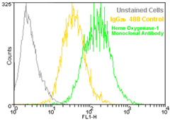 IgG2b Isotype Control Monoclonal Antibody [MPC11], DyLight 488 Conjugated