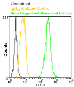 IgG2b Isotype Control Monoclonal Antibody [MPC11], FITC Conjugated