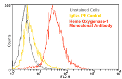 IgG2b Isotype Control Monoclonal Antibody [MPC11], PE Conjugated
