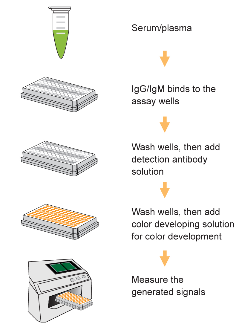 SeroFlash SARS-CoV-2 IgG/IgM ELISA Fast Kit