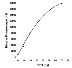 TET1 Protein (Active)