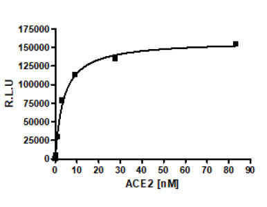 SARS-CoV-2 Spike S1 (16-685) Protein, Avi-His-tag
