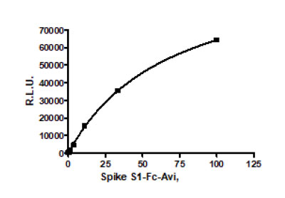 SARS-CoV-2 Spike S1 (16-685) Protein, Fc Fusion, Avi-tag