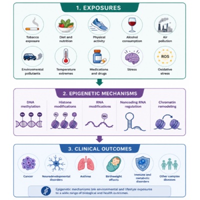 The exposome and DNA methylation