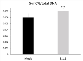 DNA Methylation as a Marker of Epigenetic Reprogramming in Neuroblastoma