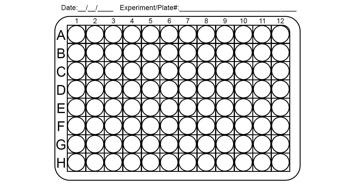 Free 48 96 384 Well Plate Templates (PDF Excel) Interactive Free 48 96 384 Well Plate Templates (PDF Excel) Interactive