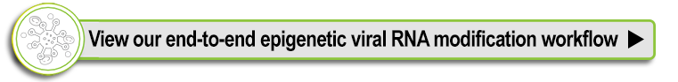 View EpiGentek's epigenetic viral RNA modification workflow