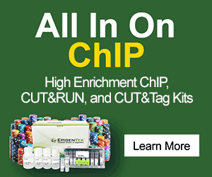 chip kits