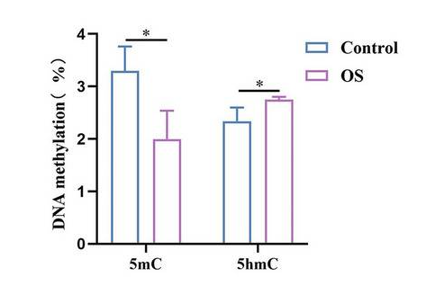 Graph showing DNA methylation levels of 5mC and 5hmC in mouse oocytes, comparing control with ovarian stimulation (OS) treated groups, illustrating significant differences as indicated by asterisks, from the study by Lu X et al., Cell Communication and Signaling, February 2024.